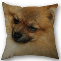 Axyaa Pomeranian Dog Pillowcase Cotton Linen Square Zipper 45X45cm Wedding Decor Pillow cover