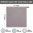 Axyaa Ultra Soft Microfiber Kitchen Dishcloth - Absorbent & Thick Magic Cleaning Towel