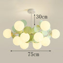 Axyaa Modern Pendant Light Chandelier for Indoor Dining Room and Living Room