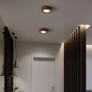 Axyaa Ash Wood LED Ceiling Spotlights - Modern Home Decor Lighting