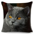 Axyaa British Shorthair Russian Blue Cat Cushion Cover - Cute Pet Animal Pillowcase