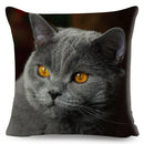 Axyaa British Shorthair Russian Blue Cat Cushion Cover - Cute Pet Animal Pillowcase
