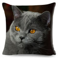 Axyaa Cat Pet Animal Cushion Cover - Cute British Shorthair Russian Blue Pillowcase