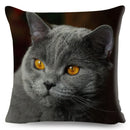 Axyaa Cat Pet Animal Cushion Cover - Cute British Shorthair Russian Blue Pillowcase