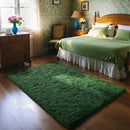 Axyaa Plush Green Area Rug for Modern Home Decor & Cozy Living Spaces