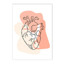 Axyaa Human Anatomy Skeleton Canvas Wall Art for Medical Office Decor