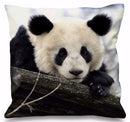 Axyaa 3D Animal Print Cushion Covers (18" x 18") - Cute Collection