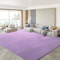 Axyaa Gray Coral Fleece Living Room Rug for Sofa, Coffee Table, Kids Bedroom