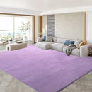 Axyaa Gray Coral Fleece Living Room Rug for Sofa, Coffee Table, Kids Bedroom