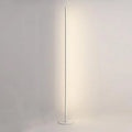 Axyaa LED Remote Control Floor Lamp for Bedroom Living Room Corners