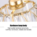 Axyaa Modern Glass Ceiling Light Fixture for Home Decor