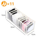 Axyaa Closet Drawer Organizer Box for Bra, Underwear, Pants, Scarf - Wardrobe Clothing Storage