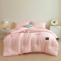 Axyaa Fluffy Warm Duvet Insert: Thick Autumn Winter Comforter Quilt for Bed