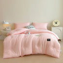 Axyaa Fluffy Warm Duvet Insert: Thick Autumn Winter Comforter Quilt for Bed