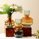 Axyaa Clear Glass Gradient Vase for Flowers & Hydroponics