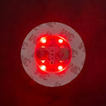 LED Light Coaster for Wine Bottles by Axyaa - Party Decor Illuminated Stickers