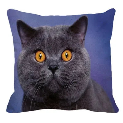 Axyaa British Shorthair Cat Pillow Cover 45X45cm Square Cushion