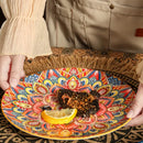 Axyaa Bohemian Round Ceramic Plate 10-inch Steak & Pasta Plate