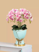 Axyaa Nordic Ceramic Tulip Vase for Home Decor and Bonsai Plants