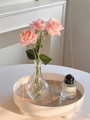 Axyaa Glass Vase Ornaments for Living Room Decor & Office Gift