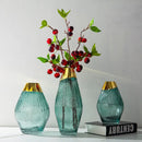 Axyaa Transparent Glass Vase Flower Arrangement Home Decor Accessory