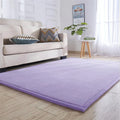 Axyaa Coral Fleece Tatami Floor Mat for Soft Bedroom Living Room Rugs