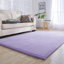 Axyaa Coral Fleece Tatami Floor Mat for Soft Bedroom Living Room Rugs