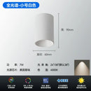 Axyaa LED COB Downlight Gold Reflector 7W 10W 12W Ceiling Spot Light Surface Mounted