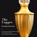 Axyaa Modern Brass Gold LED Desk Lamp - Luxury Retro Home Decor