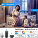 Axyaa Smart WiFi BLE Ceiling Light 24W RGB Voice Control Alexa Google Home