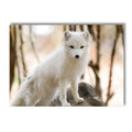 Nordic Forest House Canvas Wall Art by Axyaa - Winter Snow Fox Owl Deer Print