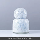 Axyaa Glass Vase with Cover for Flower Arrangements and Hydroponic Display