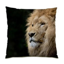 Axyaa Wild Animal Pattern Print Sofa Cushion Cover