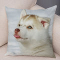 Siberian Husky Pillowcase - Axyaa Pet Sofa Cushion Cover, Decorative Dog Print