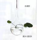 Axyaa Angel Glass Vase for Living Room Decor with Hanging Hydroponic Flowers