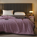 Axyaa Lamb Wool Throw Blanket Double Sided Queen Duvet Cover Bedspread