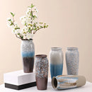 Axyaa Ceramic Vase: Stylish Hydroponic Decor for Home and Hotel Displays