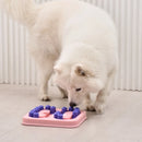 Axyaa Pet Feeder Slow Food Plate Interactive Toy - Increase Puppy IQ Training