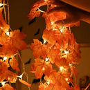 Axyaa Autumn Maple Leaf Pumpkin LED Fairy String Light