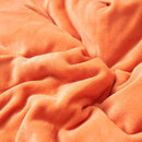 Axyaa Double Layer Milk Fleece Blanket: Cozy Lambswool Design for Autumn Winter