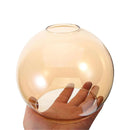 Axyaa Clear Amber Glass Lamp Shade for Lighting Fixture