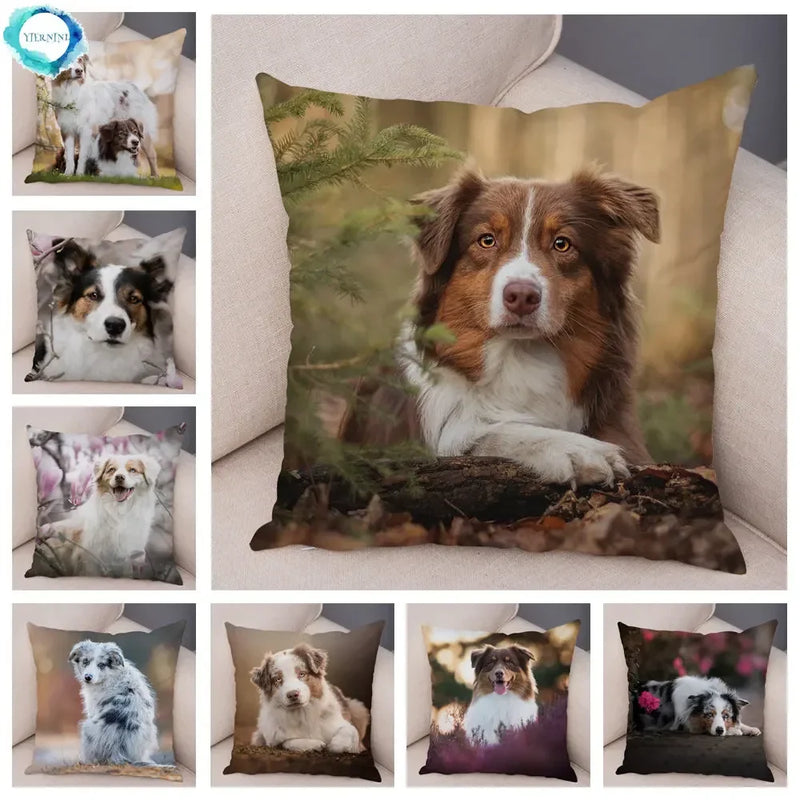 Axyaa Australian Shepherd Pillow Cover - Cute Dog Animal Cushion