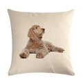 Axyaa Dog Cushion Covers Collection