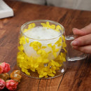 Axyaa Double Layer Glass Coffee Cup with Handle - High Temp Milk Mug