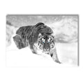 Axyaa Winter Snow Animals Canvas Wall Art Print for Living Room