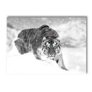 Axyaa Winter Snow Animals Canvas Wall Art Print for Living Room