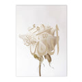 Axyaa Ayat Al Kursi Islamic Calligraphy Canvas Wall Art Decor