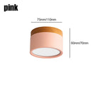 Axyaa LED Macaron Ceiling Downlight for Indoor Living Room - Nordic Spot Light