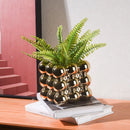 Axyaa Ceramic Succulent Plant Vase for Indoor Plants and Flowers