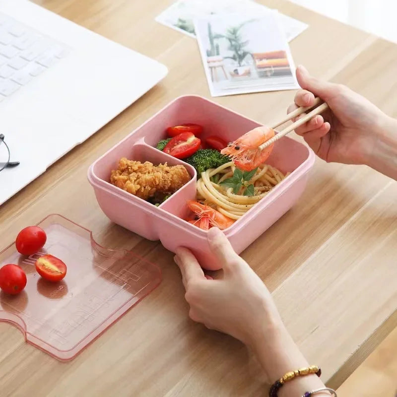 Axyaa Wheat Straw Lunch Box with Lid - Portable Bento Box for Students